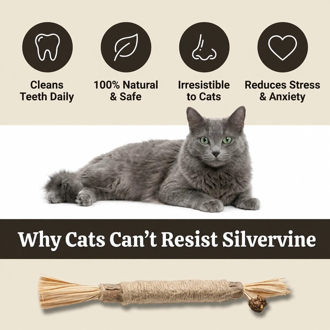 TryPurr Natural Silvervine Dental Sticks
