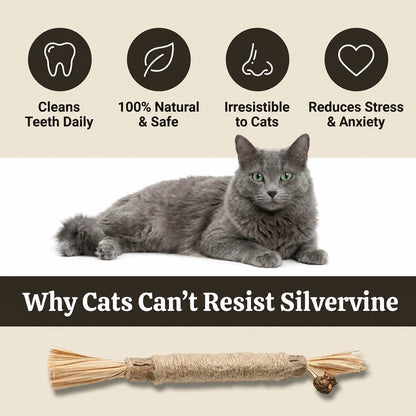 TryPurr Natural Silvervine Dental Sticks