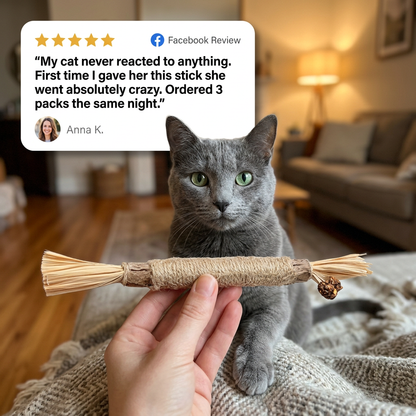TryPurr Natural Silvervine Dental Sticks